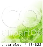Poster, Art Print Of Background With Green Flowers And Foliage Around Copyspace