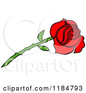 Poster, Art Print Of Long Stemmed Red Rose