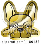 Poster, Art Print Of Golden Frenchie Dog Looking Over A Surface