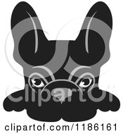 Poster, Art Print Of Black Frenchie Dog Looking Over A Surface
