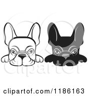 Poster, Art Print Of Black And White Frenchie Dogs Looking Over A Surface