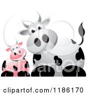 Poster, Art Print Of Curious Pink And White Cows