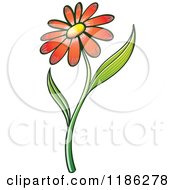 Red Daisy Flower And Stem
