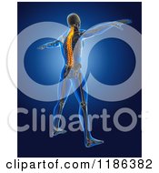 Clipart Of A 3d Xray Man With A Highlighted Spine Standing With His Arms Out Royalty Free CGI Illustration