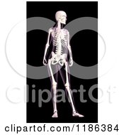 3d Female Xray With Visible Skeleton On Black