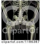 3d Xray Male Skeleton In A Sitting Position On Black