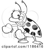 Cartoon Of A Black And White Mad Ladybug With Boxing Gloves Royalty Free Vector Clipart