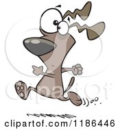 Poster, Art Print Of Dog Running With A Worried Expression