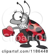 Poster, Art Print Of Mad Ladybug With Boxing Gloves