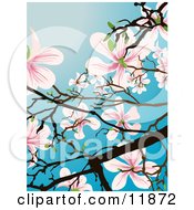Poster, Art Print Of Flowering Magnolia Tree