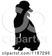 Poster, Art Print Of Black Silhouette Of A Poodle Sitting