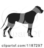 Poster, Art Print Of Black Silhouette Of A Great Dane Standing In Profile