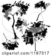 Poster, Art Print Of Silhouetted Branches And A Tree