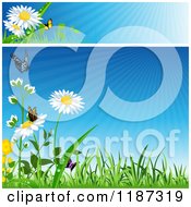 Poster, Art Print Of Spring Website Banner And Background With Grass Flowers And Butterflies