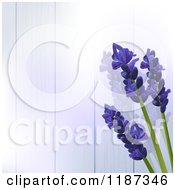 Clipart Of Lavender Flowers Over Purple Wood Panels Royalty Free Illustration by elaineitalia