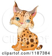 Cartoon Of A Cute Baby Bobcat Cub Sitting Royalty Free Vector Clipart