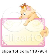 Poster, Art Print Of Cute Beige Princess Kitten Hanging Over A Sign