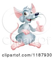 Poster, Art Print Of Happy Gray Rat Mascot Holding A Thumb Up