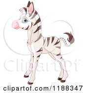 Cute Baby Zebra Standing In Profile