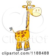 Cute Happy Giraffe