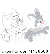 Poster, Art Print Of Cute Happy Gray And Outlined Rabbits Hopping