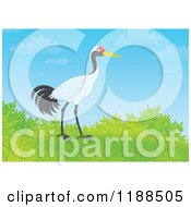 Poster, Art Print Of Sarus Crane Bird On A Hill Against Blue Sky