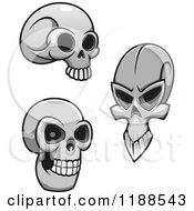 Poster, Art Print Of Grayscale Skulls