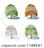 Poster, Art Print Of 3d Tree In Different Seasons On White