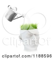 Poster, Art Print Of 3d Watering Can Pouring Over Grass On A Head On White