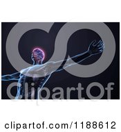 Poster, Art Print Of 3d Man With A Glowing Brain And Visible Central Nervous System