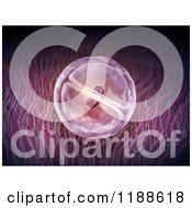 Clipart Of A 3d Early Stage Of A Zygote Inside The Uterus Royalty Free CGI Illustration