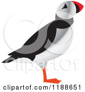 Puffin Bird In Profile