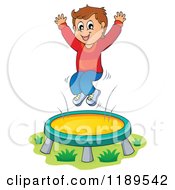 Happy Boy Jumping On A Trampoline