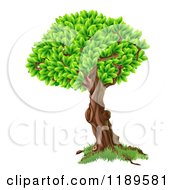 Poster, Art Print Of Tree With A Textured Trunk And Lush Foliage