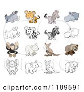Poster, Art Print Of Cute Wild Animals In Color And Black And White