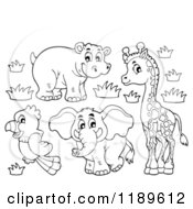 Cartoon Of An Outlined Cute African Hippo Giraffe Elephant And Parrot Royalty Free Vector Clipart