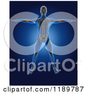 Poster, Art Print Of 3d Xray Man With A Glowing Elbow Joints And Visible Skeleton Standing With His Arms Out