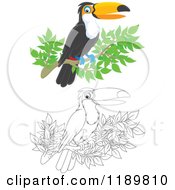 Poster, Art Print Of Happy Outlined And Colored Toucan Bird On A Branch