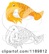 Poster, Art Print Of Cute Outlined And Colored Cuttlefish