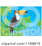 Poster, Art Print Of Happy Toucan Bird Resting On A Branch