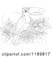 Poster, Art Print Of Happy Outlined Toucan Bird On A Branch