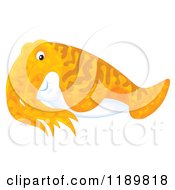 Poster, Art Print Of Cute Orange Cuttlefish