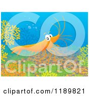 Poster, Art Print Of Happy Shrimp Exploring Underwater
