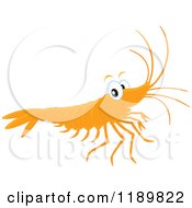 Cute Happy Shrimp
