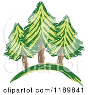 Painting Of Evergreen Trees On A Hill