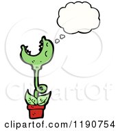 Carnivorus Plant Thinking