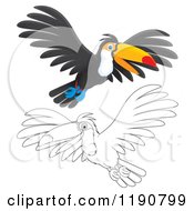 Poster, Art Print Of Happy Toucan Flying In Color And Outline