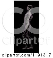 Clipart Of A 3d Female Skeleton With Back Pain On Black Royalty Free CGI Illustration