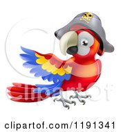 Presenting Parrot Pirate Wearing A Hat