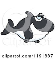 Sly Orca Killer Whale